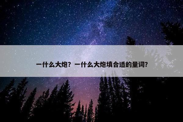 一什么大炮？一什么大炮填合适的量词？