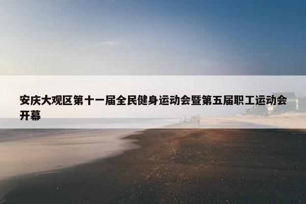 安庆大观区第十一届全民健身运动会暨第五届职工运动会开幕