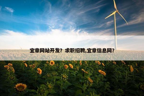 宜章网站开发？求职招聘,宜章信息网？