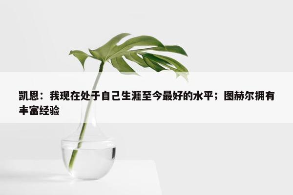 凯恩：我现在处于自己生涯至今最好的水平；图赫尔拥有丰富经验