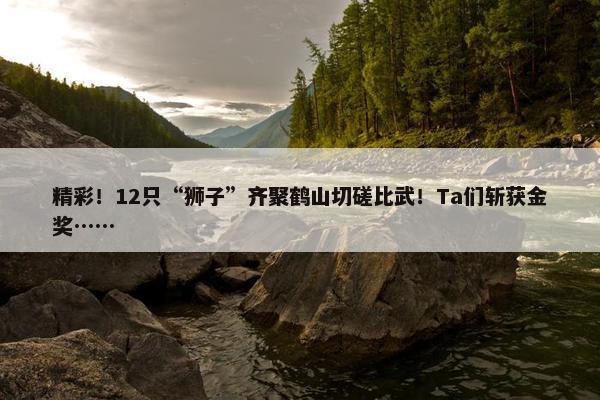 精彩！12只“狮子”齐聚鹤山切磋比武！Ta们斩获金奖……