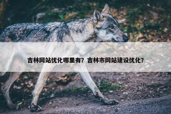 吉林网站优化哪里有？吉林市网站建设优化？