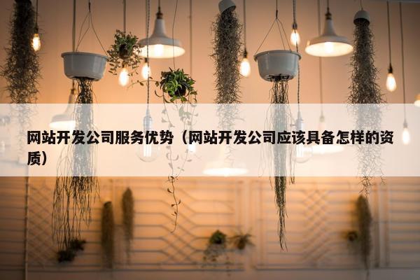 网站开发公司服务优势（网站开发公司应该具备怎样的资质）