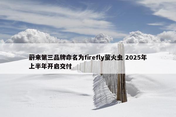 蔚来第三品牌命名为firefly萤火虫 2025年上半年开启交付