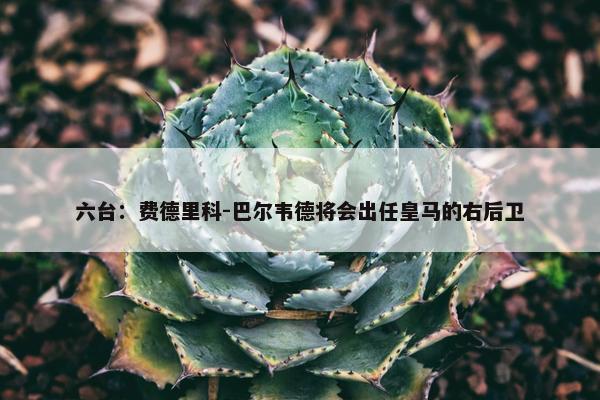 六台：费德里科-巴尔韦德将会出任皇马的右后卫