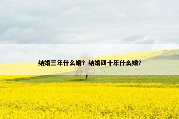 结婚三年什么婚？结婚四十年什么婚？