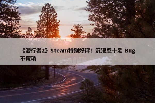 《潜行者2》Steam特别好评！沉浸感十足 Bug不掩瑜