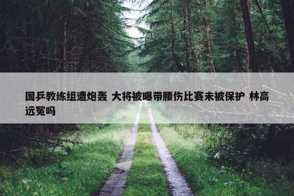 国乒教练组遭炮轰 大将被曝带腰伤比赛未被保护 林高远冤吗