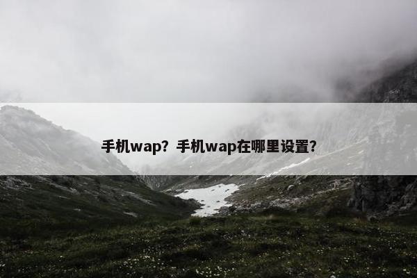 手机wap？手机wap在哪里设置？