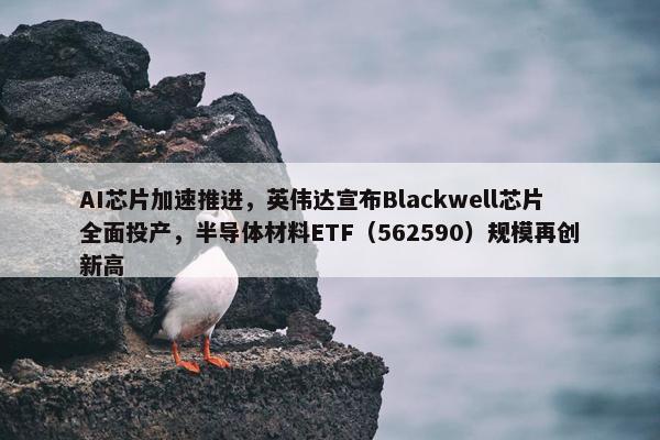 AI芯片加速推进，英伟达宣布Blackwell芯片全面投产，半导体材料ETF（562590）规模再创新高