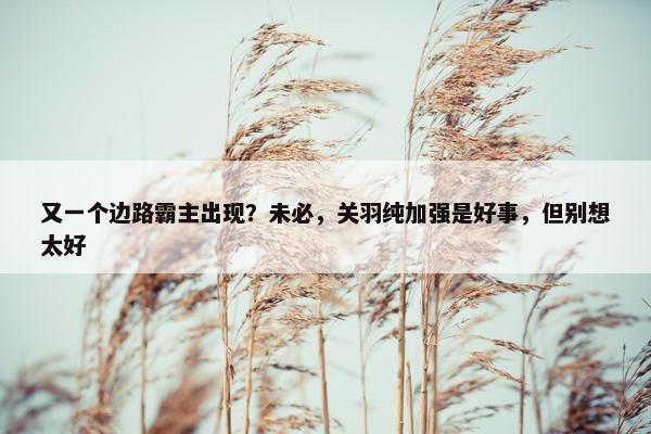 又一个边路霸主出现？未必，关羽纯加强是好事，但别想太好