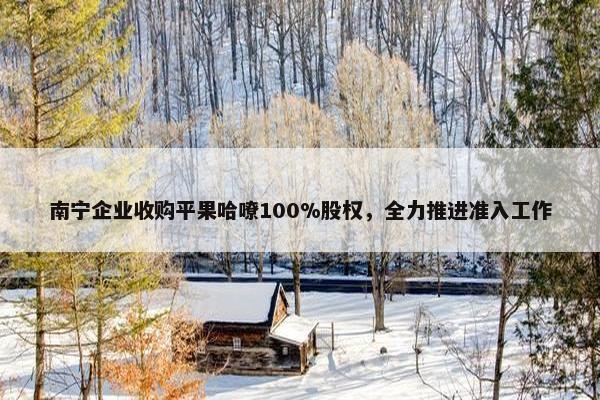 南宁企业收购平果哈嘹100%股权，全力推进准入工作