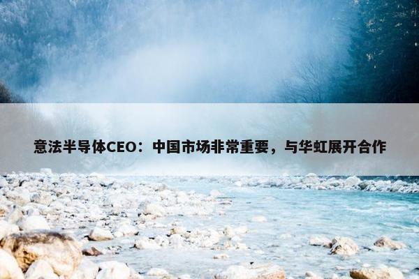 意法半导体CEO：中国市场非常重要，与华虹展开合作