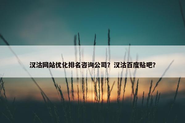 汉沽网站优化排名咨询公司？汉沽百度贴吧？