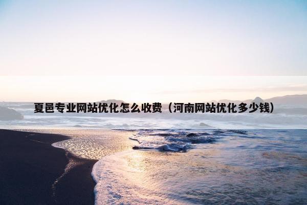 夏邑专业网站优化怎么收费（河南网站优化多少钱）