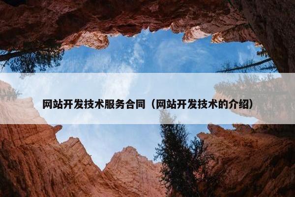 网站开发技术服务合同（网站开发技术的介绍）