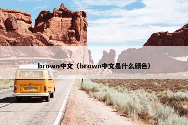 brown中文（brown中文是什么颜色）