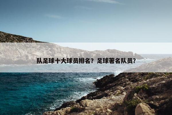 队足球十大球员排名？足球著名队员？