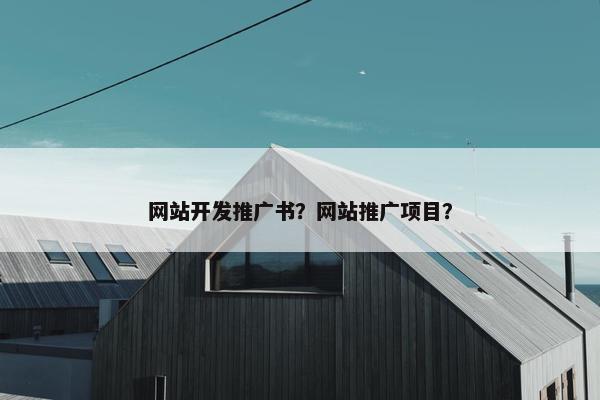 网站开发推广书？网站推广项目？