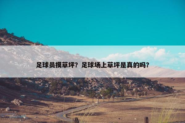 足球员摸草坪？足球场上草坪是真的吗？