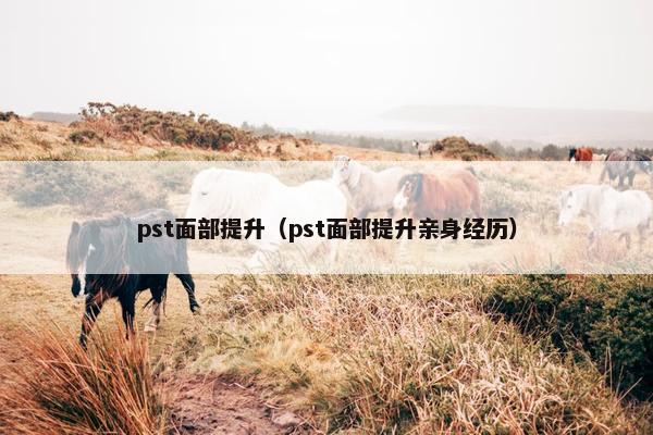 pst面部提升（pst面部提升亲身经历）