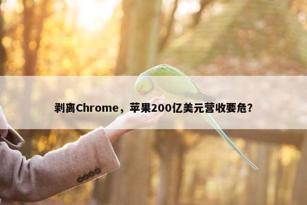 剥离Chrome，苹果200亿美元营收要危？