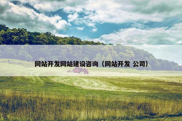 网站开发网站建设咨询（网站开发 公司）