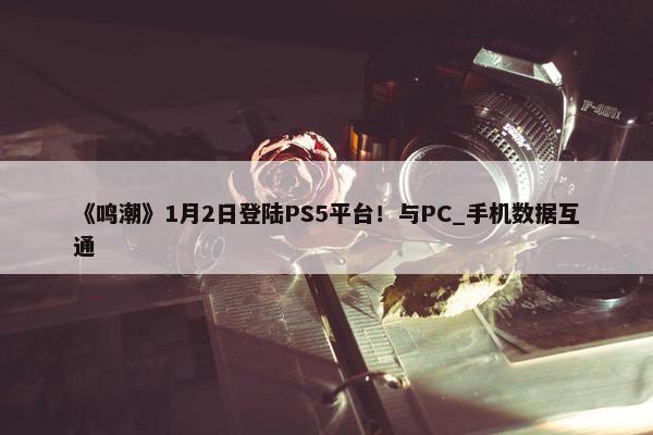 《鸣潮》1月2日登陆PS5平台！与PC_手机数据互通