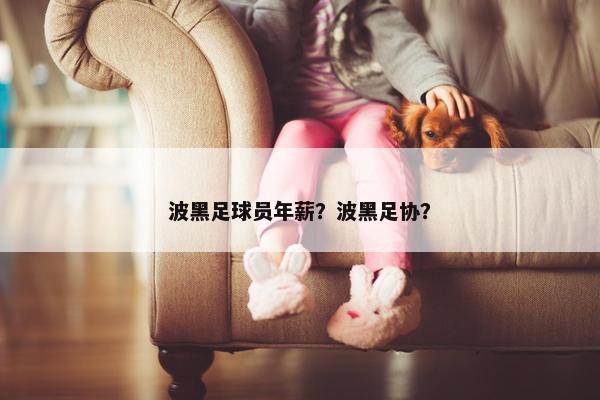 波黑足球员年薪？波黑足协？