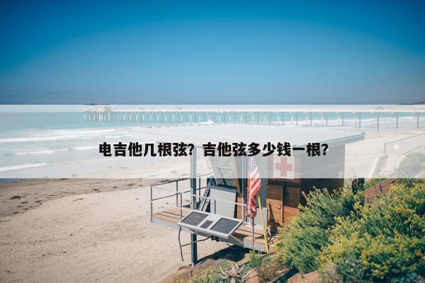 电吉他几根弦？吉他弦多少钱一根？