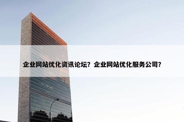 企业网站优化资讯论坛？企业网站优化服务公司？