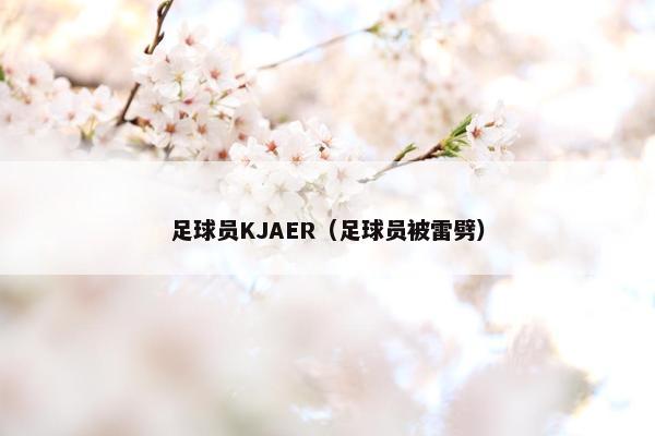 足球员KJAER（足球员被雷劈）