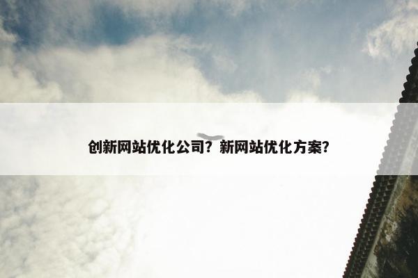 创新网站优化公司？新网站优化方案？