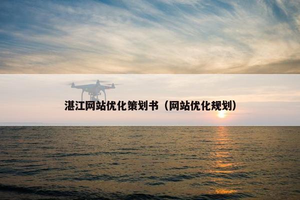 湛江网站优化策划书（网站优化规划）