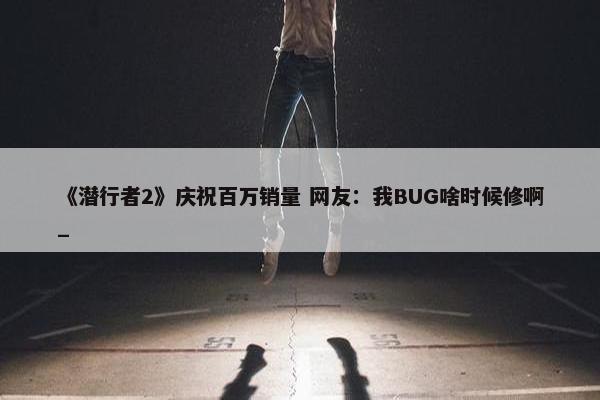 《潜行者2》庆祝百万销量 网友：我BUG啥时候修啊_