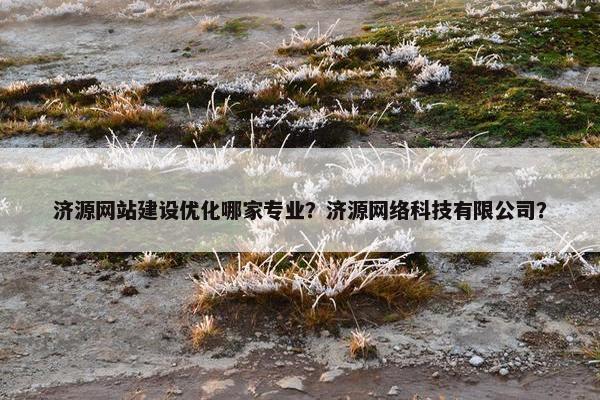 济源网站建设优化哪家专业？济源网络科技有限公司？