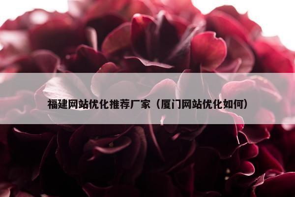 福建网站优化推荐厂家（厦门网站优化如何）