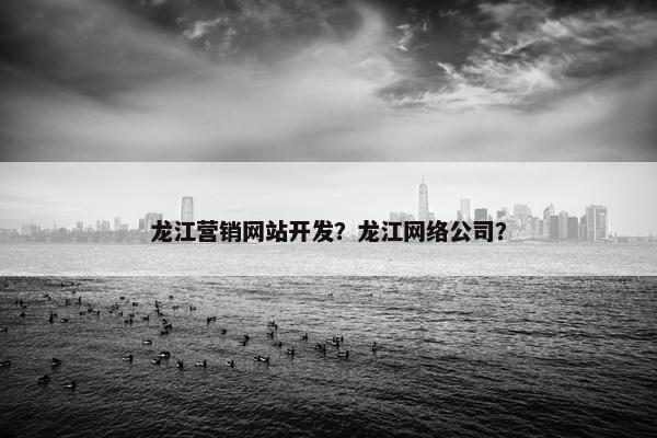 龙江营销网站开发？龙江网络公司？