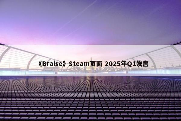 《Braise》Steam页面 2025年Q1发售