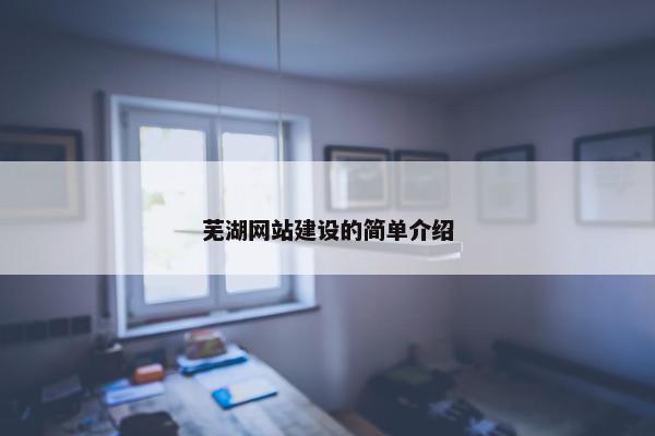 芜湖网站建设的简单介绍