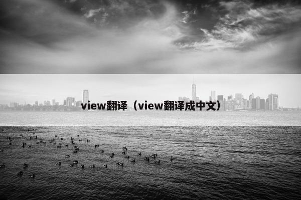 view翻译（view翻译成中文）