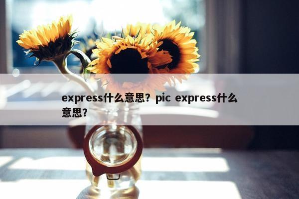 express什么意思？pic express什么意思？