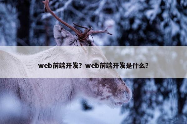 web前端开发？web前端开发是什么？