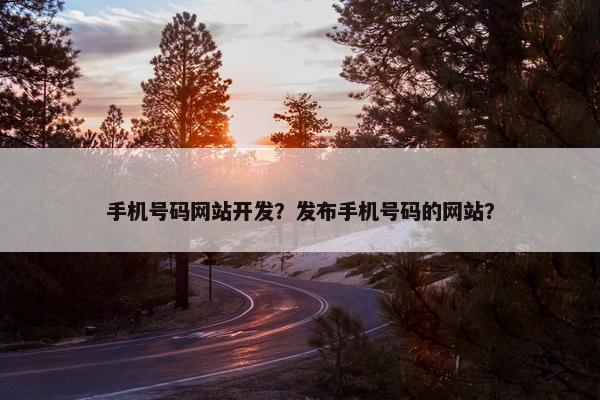 手机号码网站开发？发布手机号码的网站？