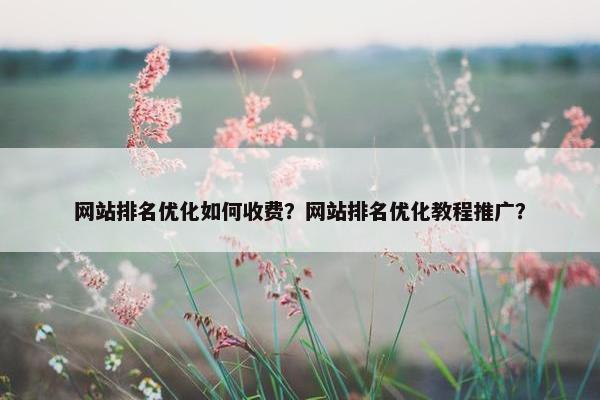 网站排名优化如何收费？网站排名优化教程推广？