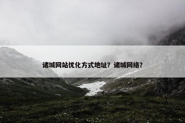 诸城网站优化方式地址？诸城网络？