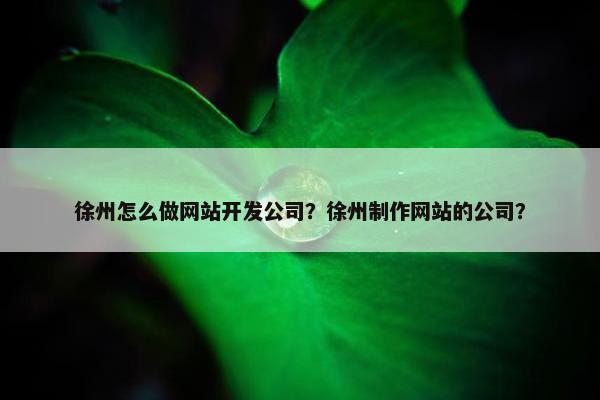 徐州怎么做网站开发公司？徐州制作网站的公司？