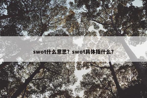 swot什么意思？swot具体指什么？