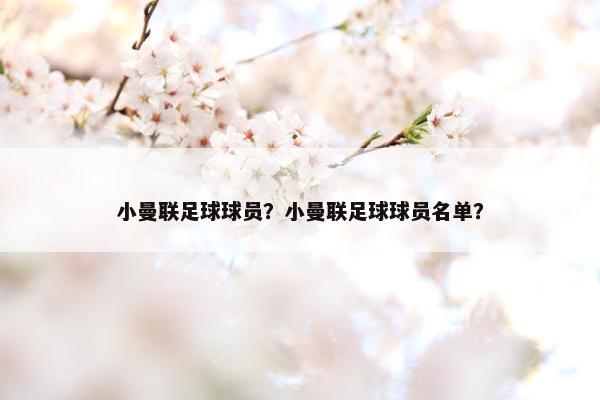 小曼联足球球员？小曼联足球球员名单？