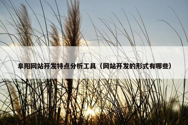 阜阳网站开发特点分析工具（网站开发的形式有哪些）